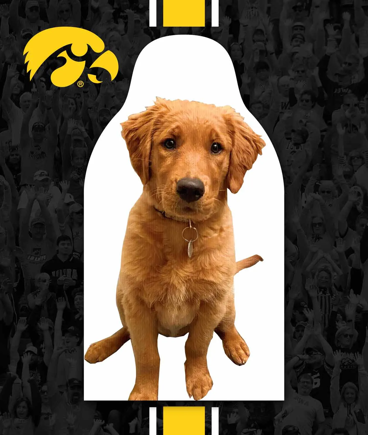 Iowa Hawkeyes Winter Sports FanCutouts