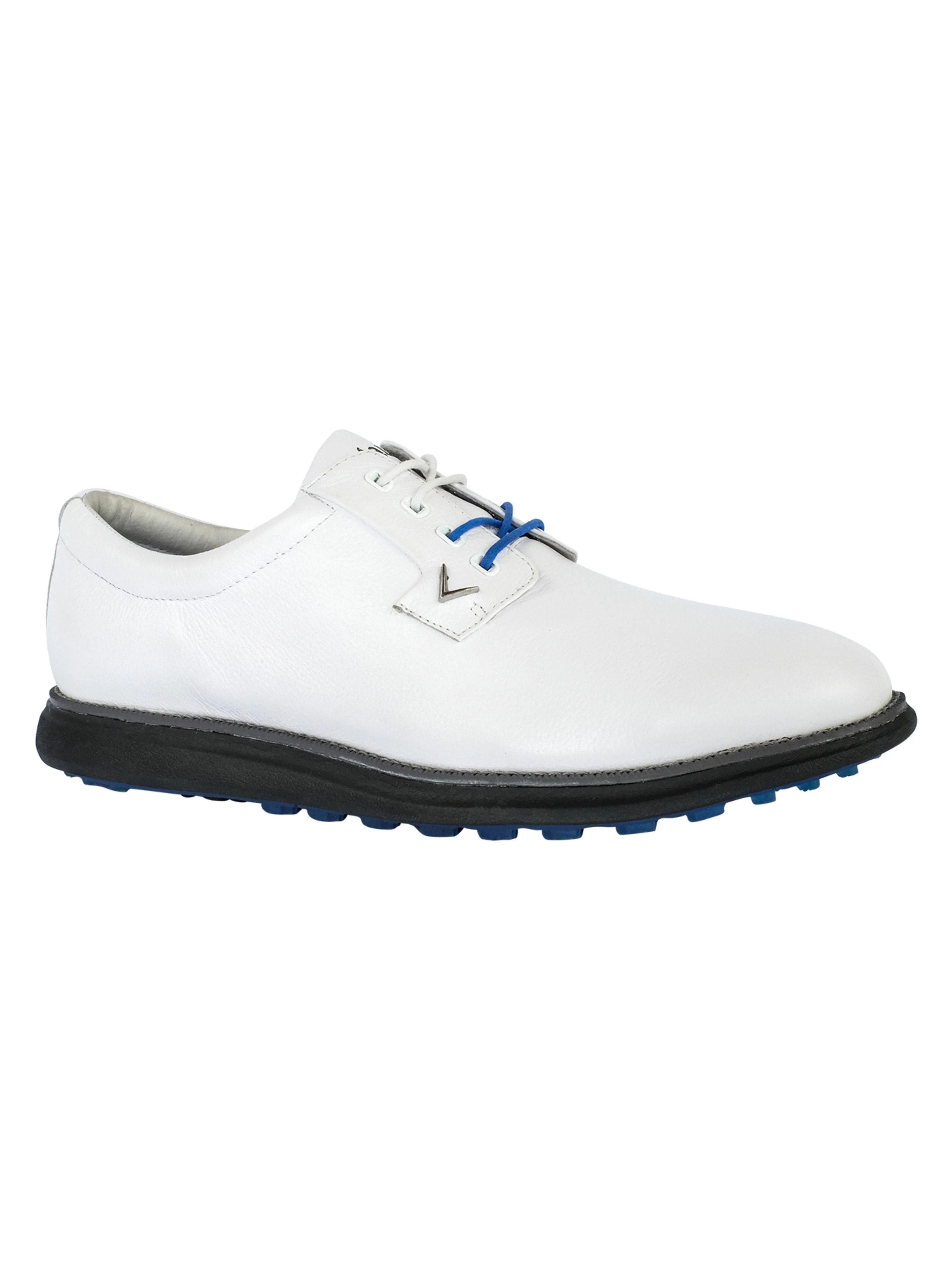 Mens Swami 2.0 Shoes