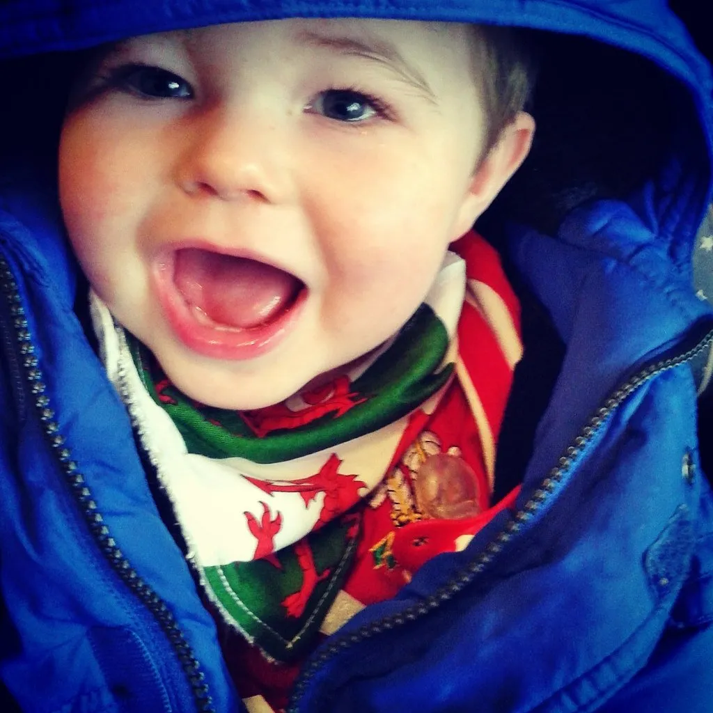 Wales dragon Print Dribble Bib, Eisteddfod, six nations rugby